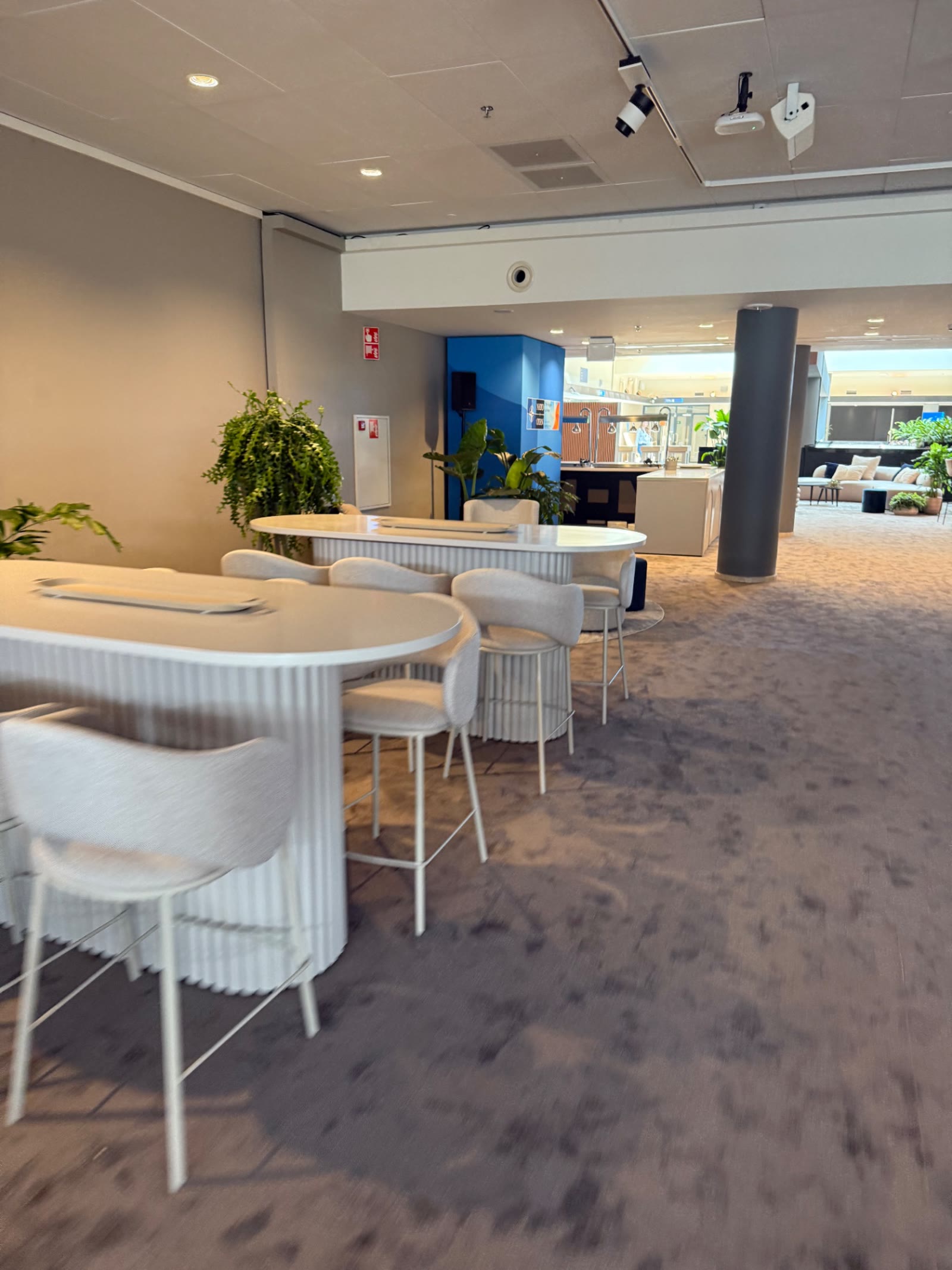 Lounge met sta-tafels, krukken en planten ingericht voor gasten